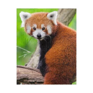 Cute Red Panda Bear Jigsaw Puzzle