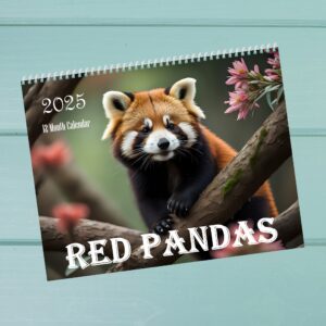 2025 Cute Red Panda 12 Month Calendar